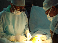 Cadaver/ Deceased donor Kidney Transplant